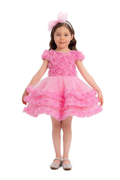 Pamina Kız Bebek 6 Ay- 24 Ay Üç Boyutlu Çiçek Kaplamalı Prenses Elbise Pembe