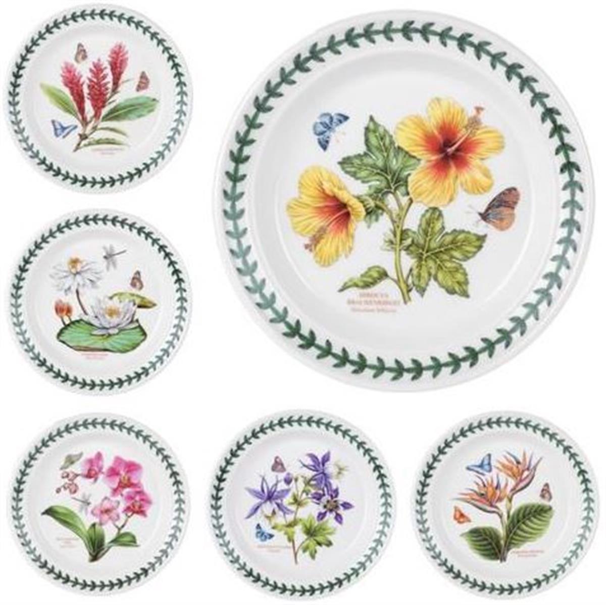 Design of LuxuryPORTMEIRIONRW.EG.05052BOTANİC GARDEN EXOTİC 27 CM 6 LI
