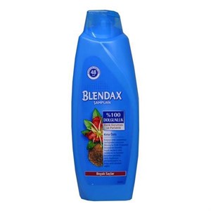 Blendax Şampuan 500 Ml Boyalı Saçlar
