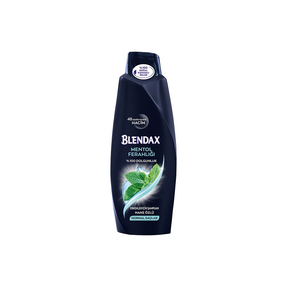 Blendax Şampuan 550 Ml Erkeklere Özel Normal Saçlar