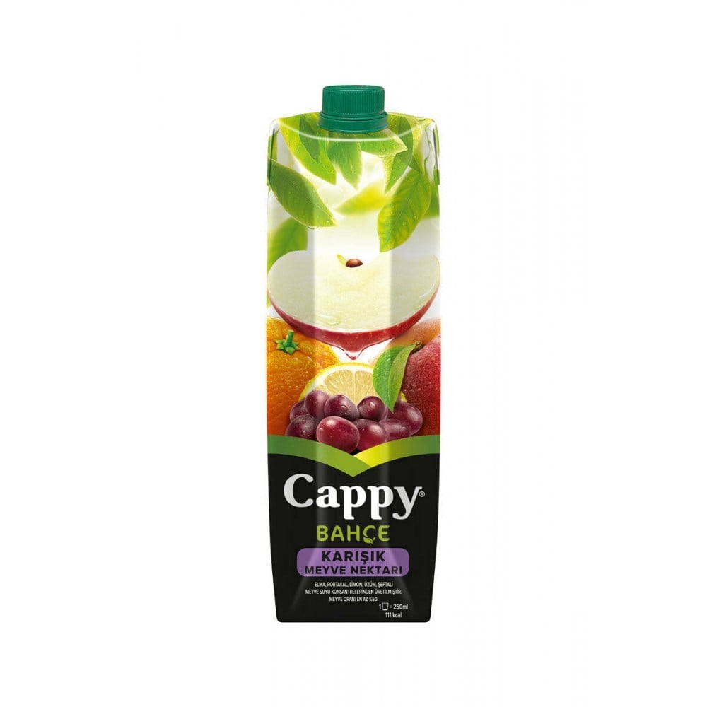 Cappy 1 Lt Karışık