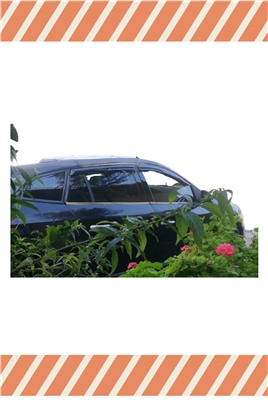 Renault Megane 3 Stw 2010-2016 Modellerine Özel 4Lü Mügen Tip Cam Rüzgarlığı