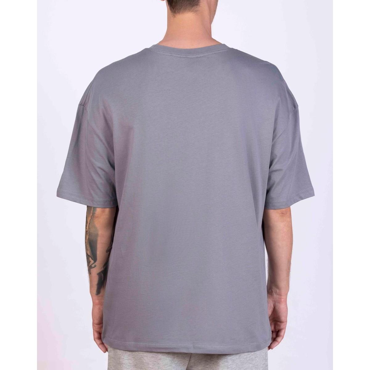 Kappa Authentic Taster Erkek Gri Regular Fit Tişört