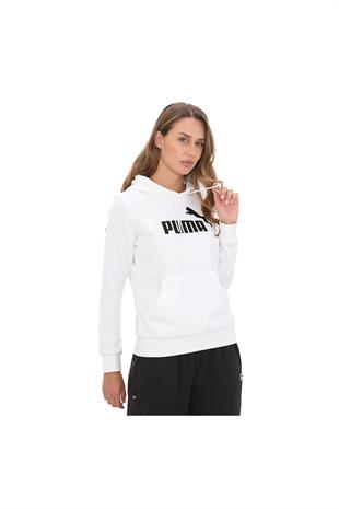 ESS Logo Hoodie TR58679102