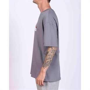 Kappa Authentic Taster Erkek Gri Regular Fit Tişört