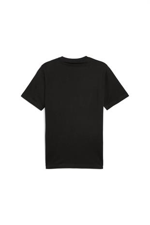 Puma GRAPHICS Mountain Tee Erkek T-shirt