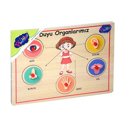 Onyıl, Ahşap Tutmalı Organlar