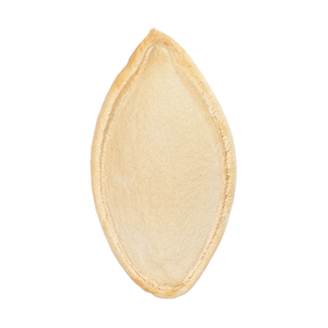 Çiğ Kabak Çekirdeği