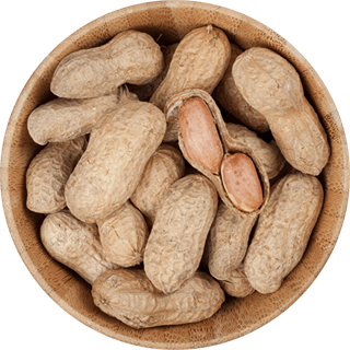 Kabuklu Yer Fıstığı