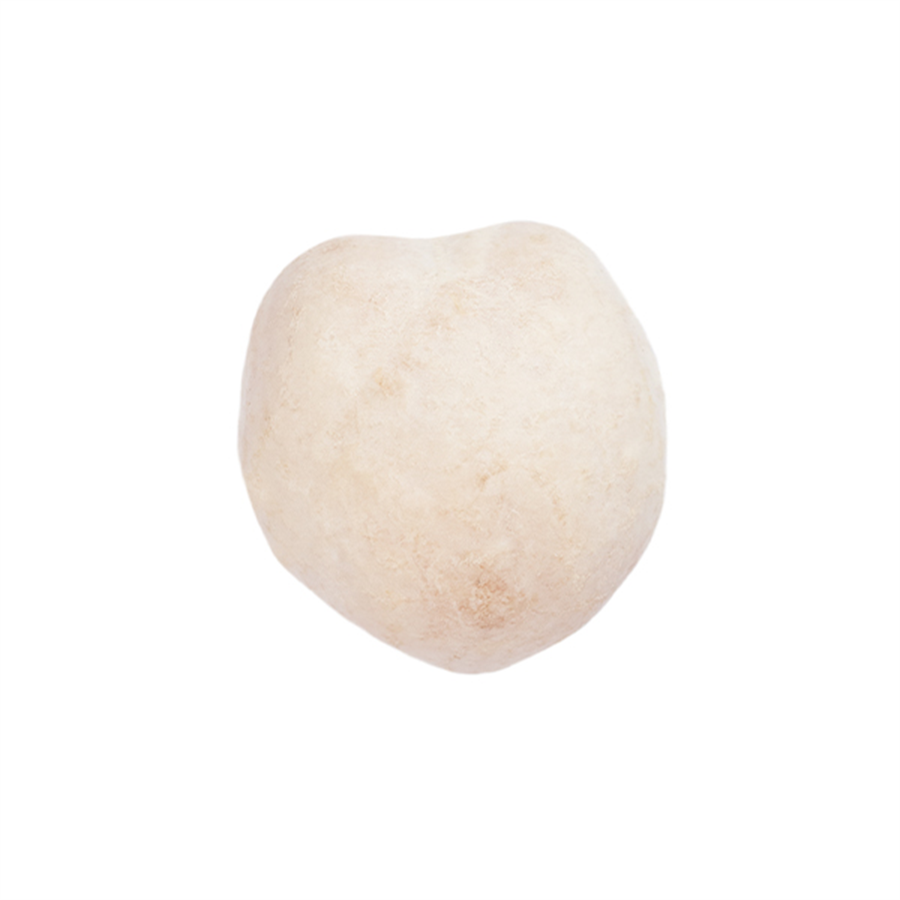 Beyaz Leblebi / Nohut