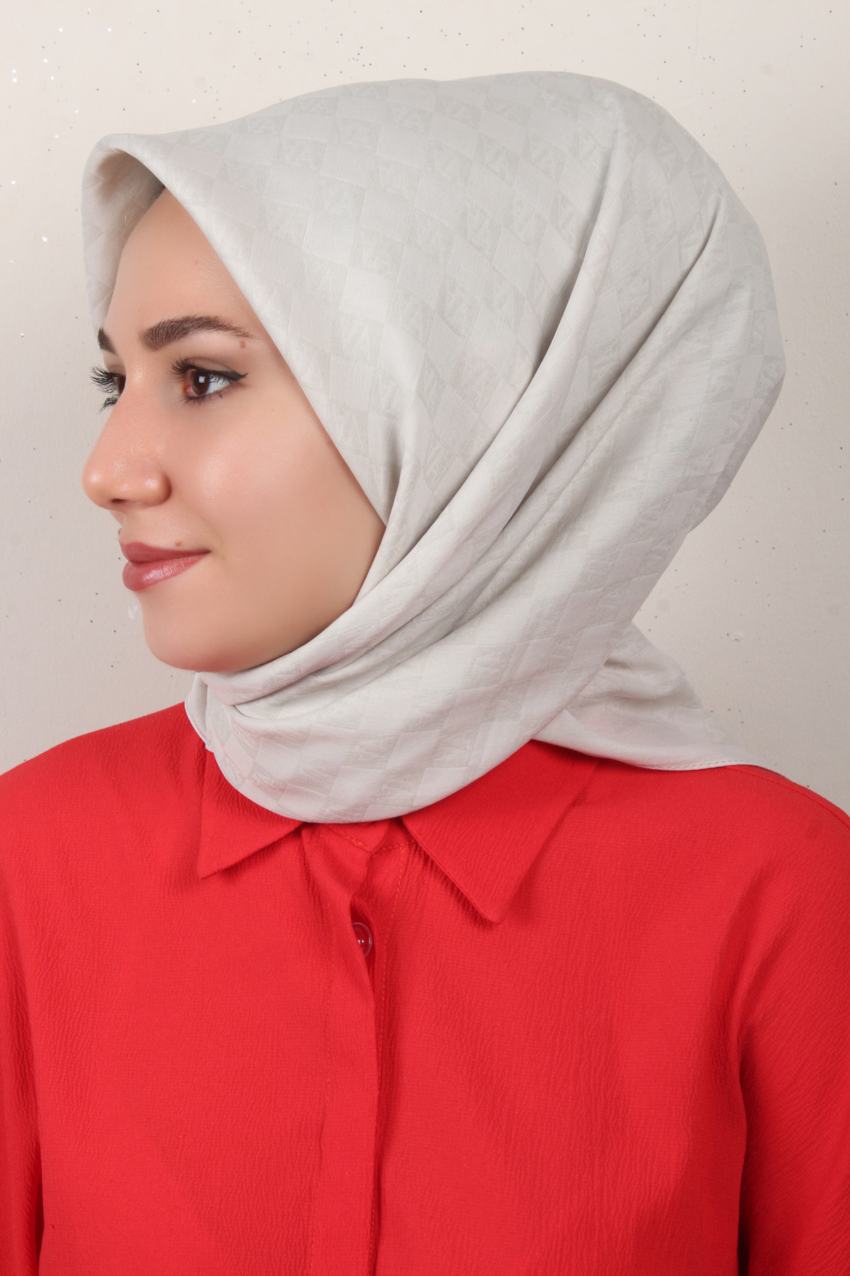Armine Ultralight Eşarp 3102-3 Gümüş