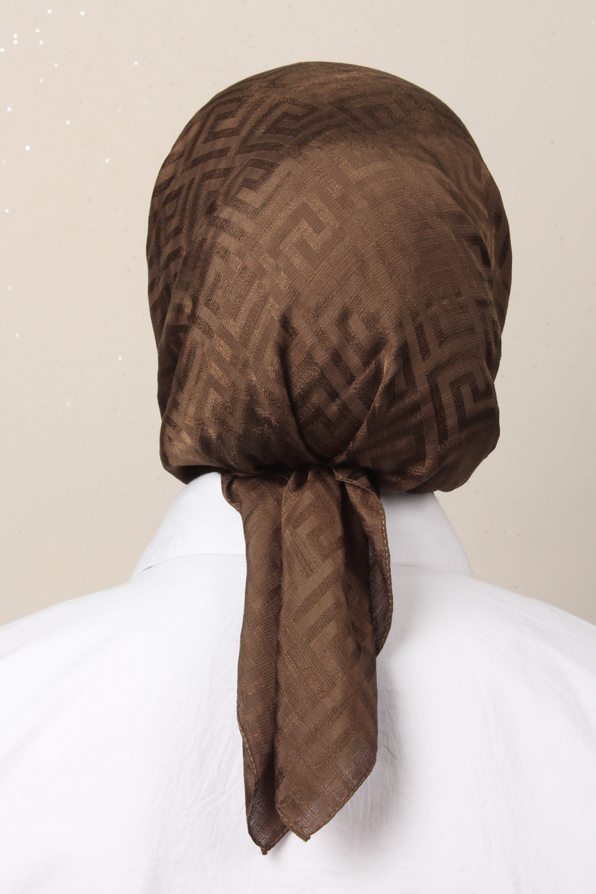 Golden Jakar Eşarp 4202-10