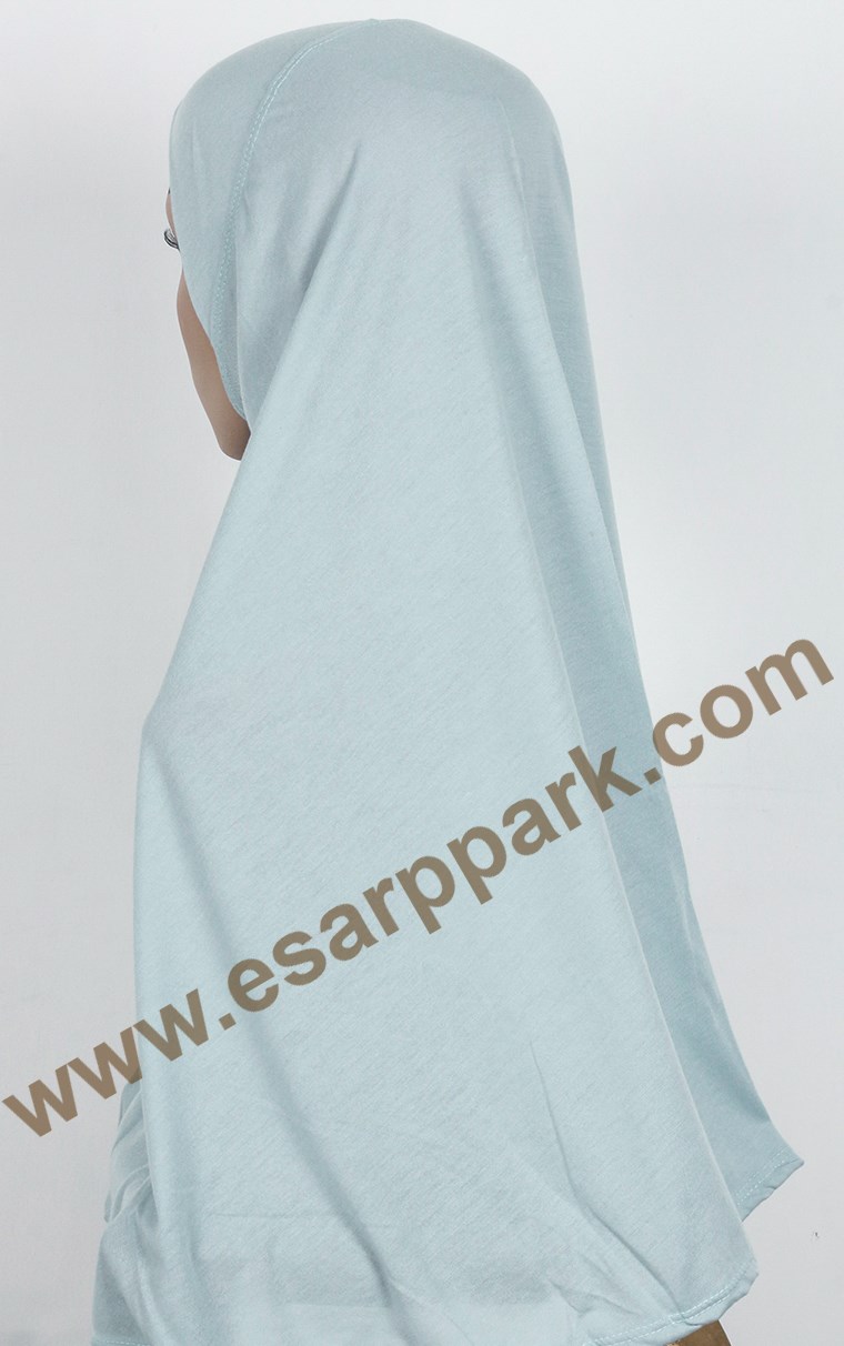 Tesettürlü Bone 2531-10