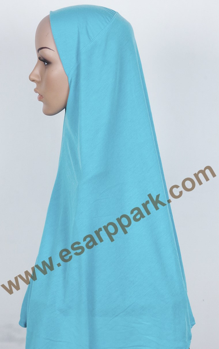 Tesettürlü Bone 2531-12