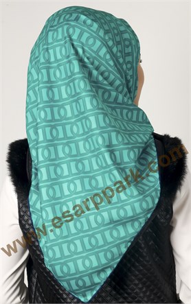 102-0027-01 U.S POLO ASSN EŞARP MİNT