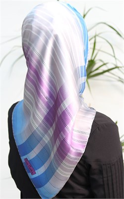 6208230-371 PIERRE CARDIN MAVİ MOR