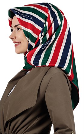 U.s Polo Assn Eşarp 1006-08