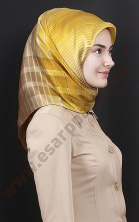 6208230-331 PIERRE CARDIN HARDAL KAHVE