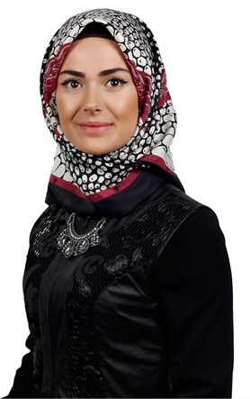 İndirimli İthal İpek Eşarp 13020-20