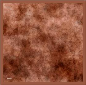 Armine 2023 Yaz 8933-03