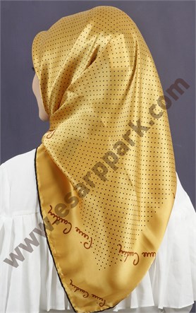 Pierre Cardin İpek Outlet 6208230-323