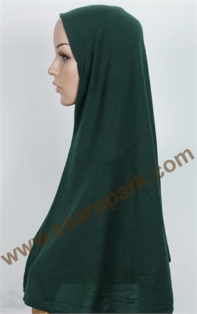 Tesettürlü Bone 2531-16