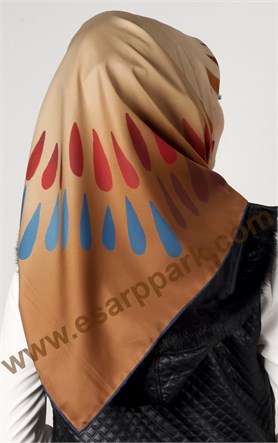 U.s Polo Assn Eşarp 1003-09