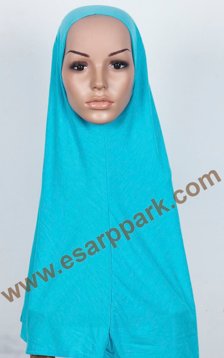 Tesettürlü Bone 2531-12