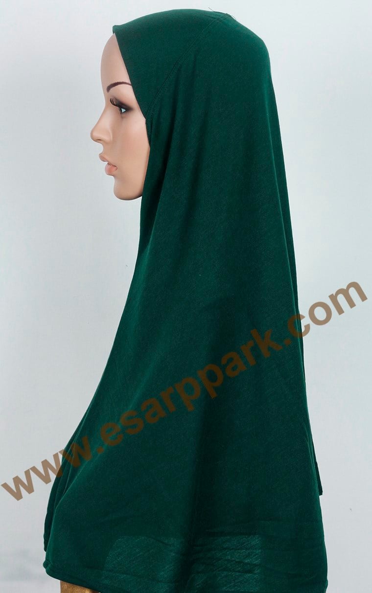 Tesettürlü Bone 2531-16