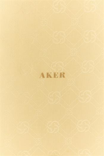 Aker Jakarlı İpek Koton Şal - 8935977-932 Açık Gold