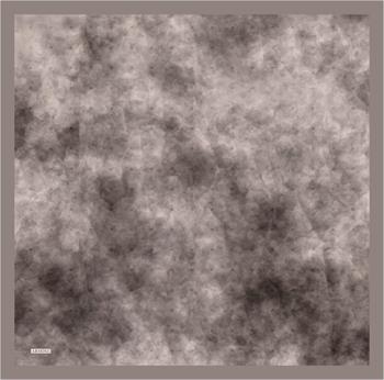 Armine İpek Eşarp 2023 Yaz 8933-07 Twill