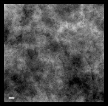 Armine İpek Eşarp 2023 Yaz 8933-54 Koyu Gri Siyah Twill