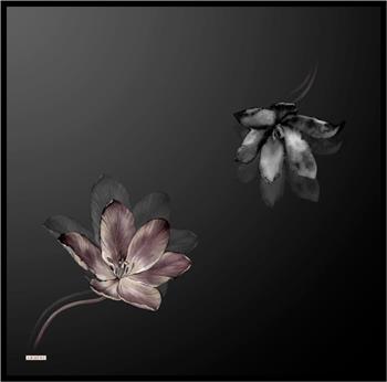 Armine İpek Eşarp Nostalji - 8737-54 Siyah Twill