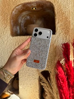 Diamond Shine İphone Telefon Kılıfı Gümüş
