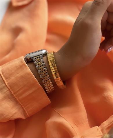 Elegance Çelik Metal Kordon Gümüş-Gold İnce