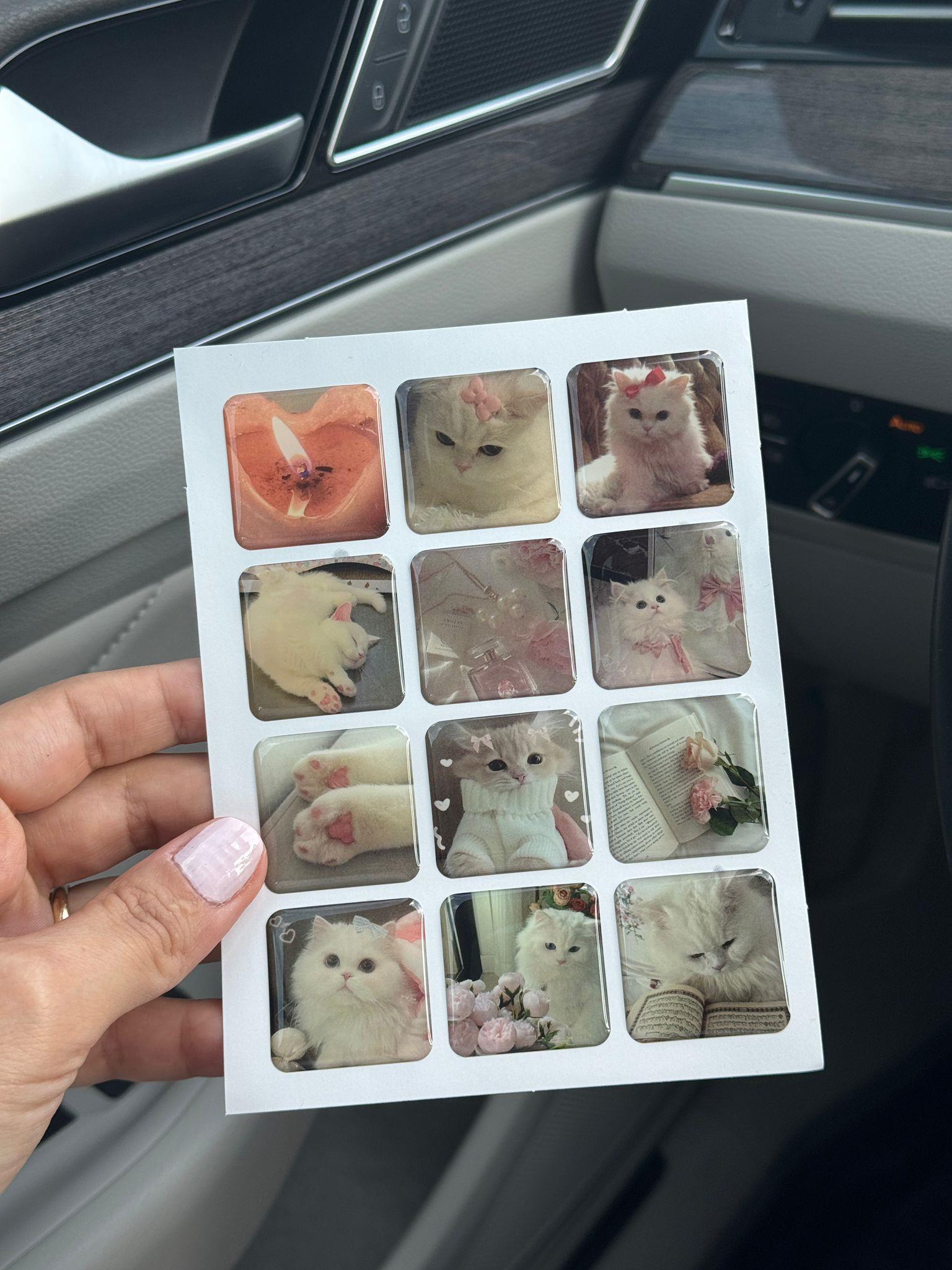 Telefon Kılıfı Sticker Çıkartma Model 6