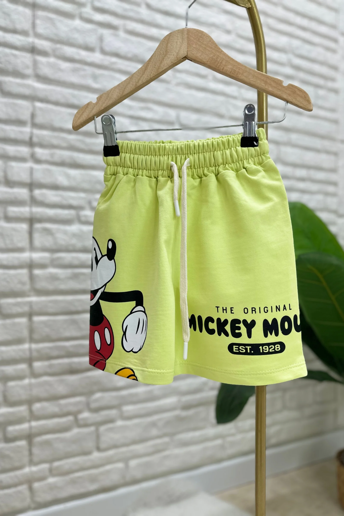 Erkek Çocuk Mickey Su Yeşili Şortlu Takım  
