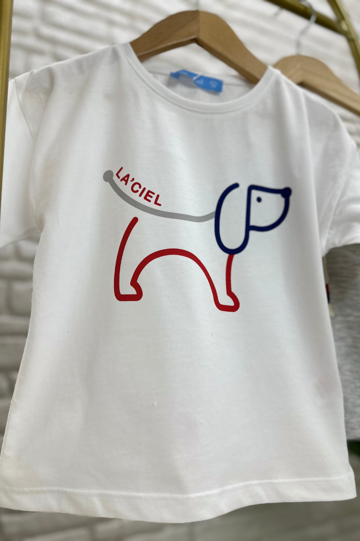 Erkek Çocuk Puppy Chic Takım 