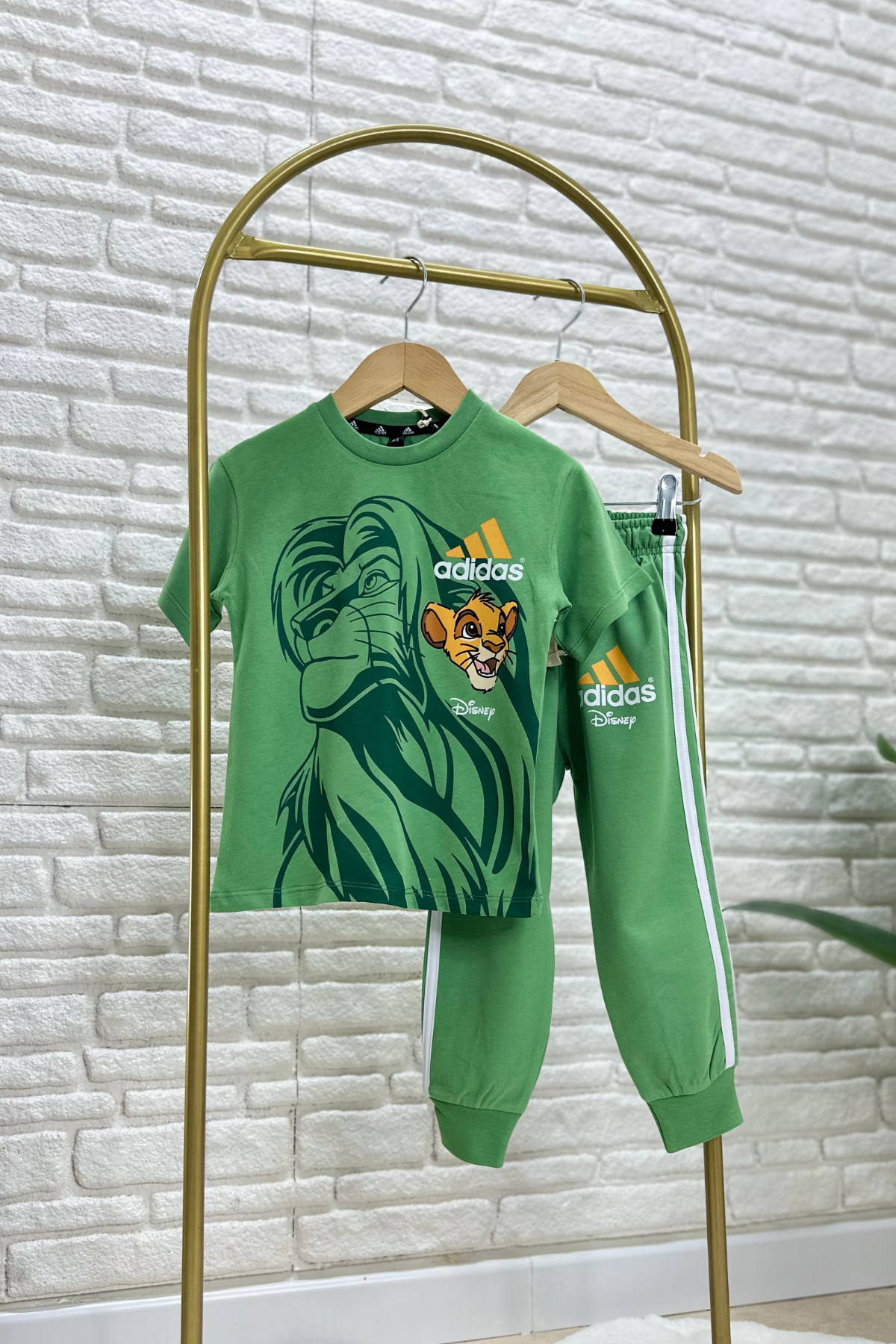 Erkek Çocuk Yeşil Adids Lion Takım