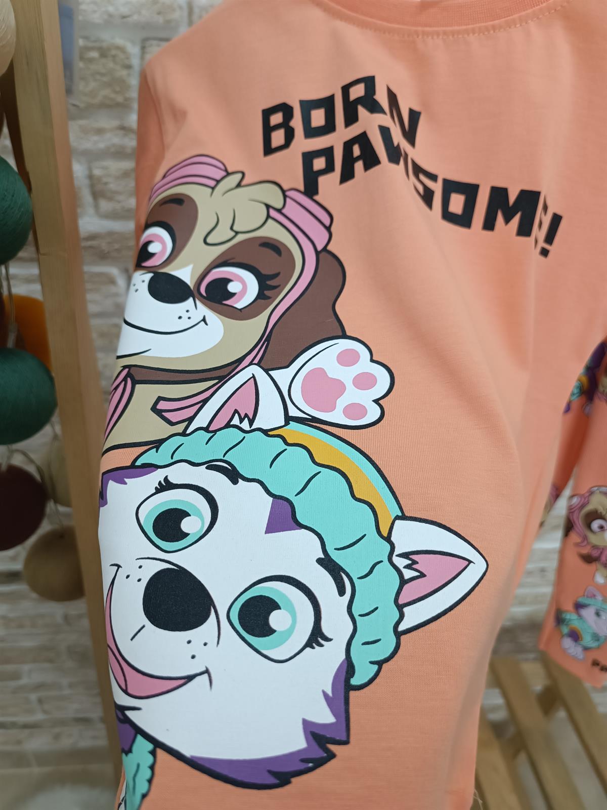 Pawpatrol Taytlı Takım