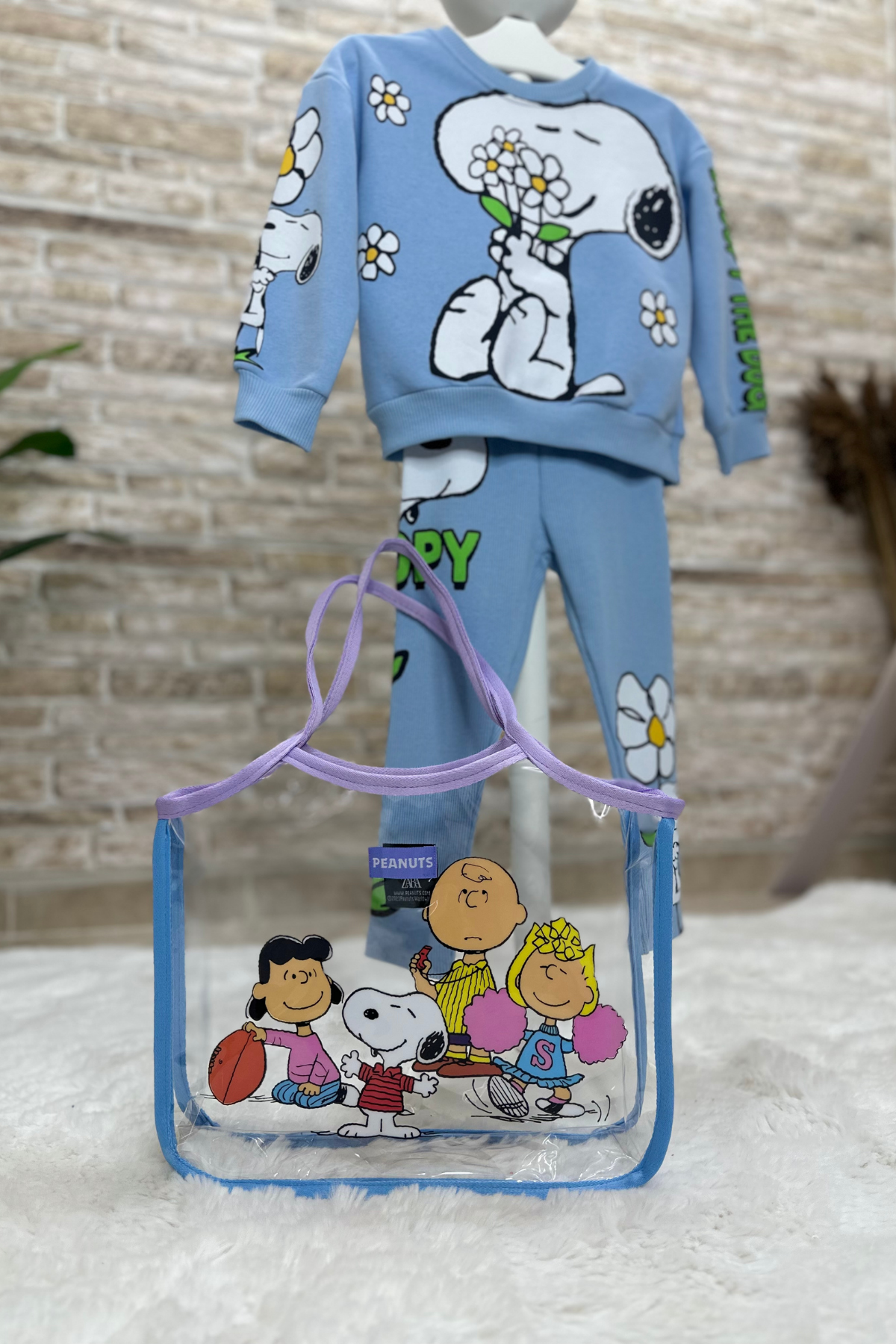 Snopy Penuts Şeffaf Kol Çantası
