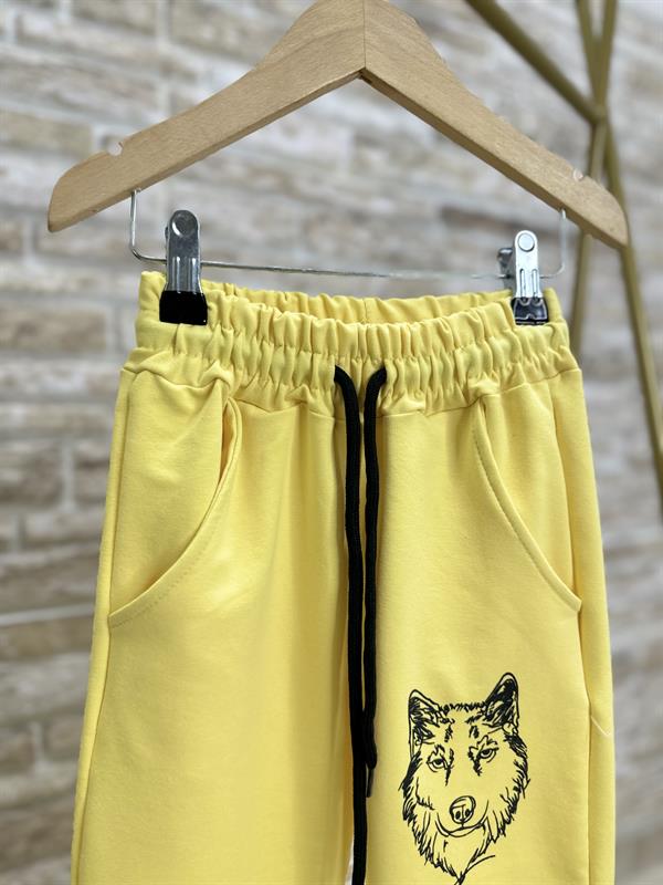 Erkek Çocuk 3 Parça 2 İplik Sarı Kurtlu Fermuarlı Takım