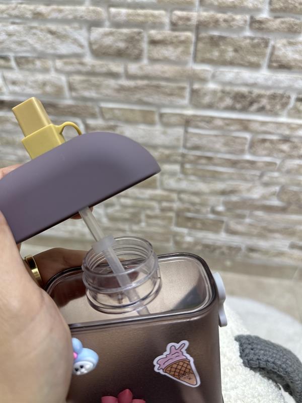 Dondurma Model Su Matarası 400 ML