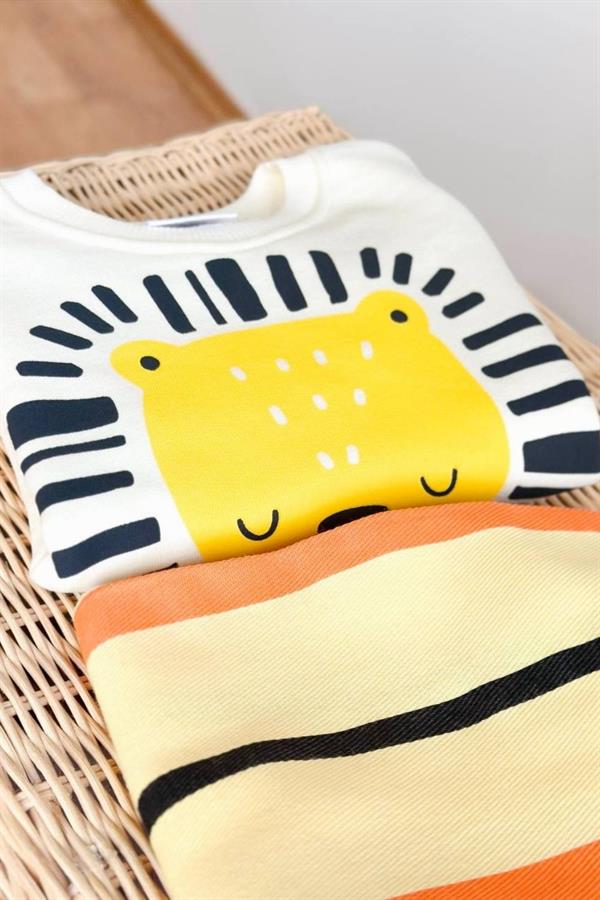 Erkek Çocuk 3 İplik Aslanlı Takım