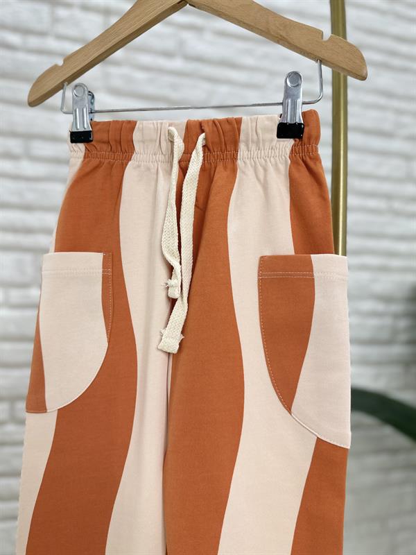 Erkek Çocuk Aslanlı Çizgili Takım 