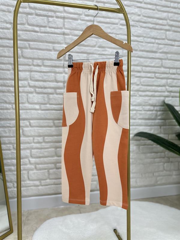 Erkek Çocuk Aslanlı Çizgili Takım 