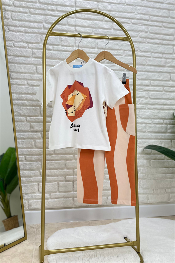 Erkek Çocuk Aslanlı Çizgili Takım 