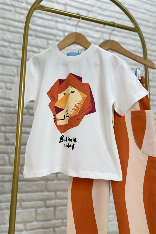 Erkek Çocuk Aslanlı Çizgili Takım 