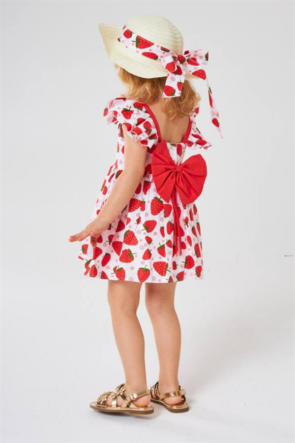 Kız Çocuk Şapkalı Çilekli Elbise