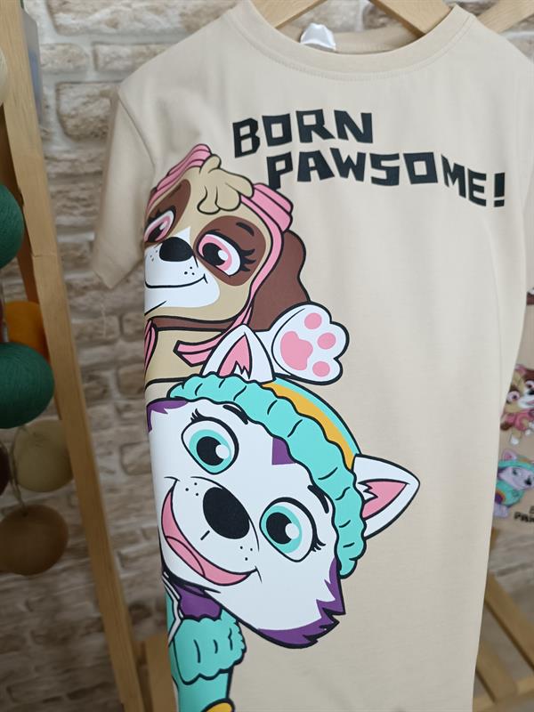 Krem Tshirtlu Pawpatrol Taytlı Takım